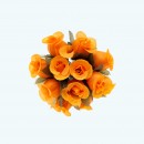 2.5" Diameter Poly Roses 12X12 | Orange